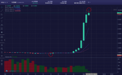 EEC两周狂翻20倍,仅仅是一个开始