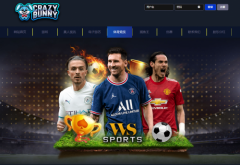 【CRAZYBUNNY】你应该知道的元宇宙赚取US