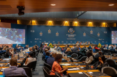 WTO MC12达成“1+4”成果 推动全球疫后经济复苏