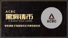 A Black Hole Coins探索去中心化解决方案